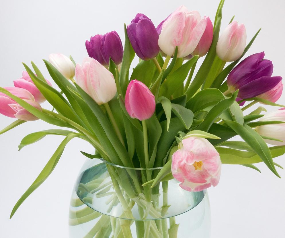 Skuteczny sposób na to, by kwiaty w wazonie dłużej stały. Tulipany będą jak świeżo zerwane
