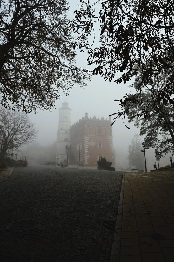 Sandomierz w jesiennej szacie z lotu ptaka