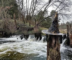 Dzień Wiedźmy z grupą Mors może więcej