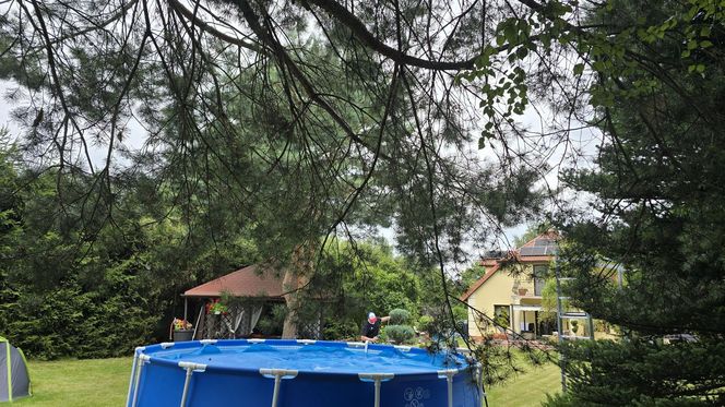 Wczasy po Polsku wiceprezesa Czarnka