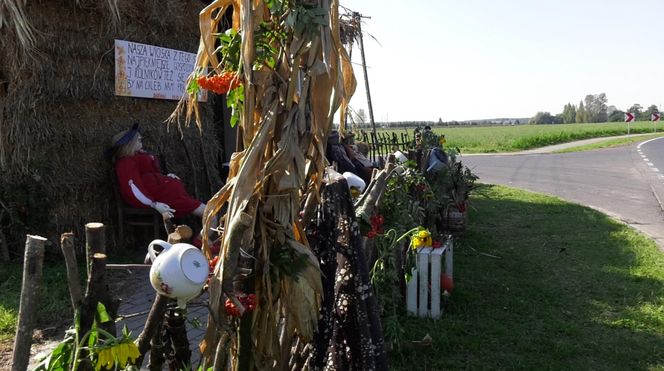 Wyjątkowy przystanek w Nowej Wsi niedaleko Sompolna