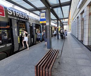Katowice jak patelnia. Obowiązuje ruch cieniostronny. Nawet gołębie chowają się w cieniu