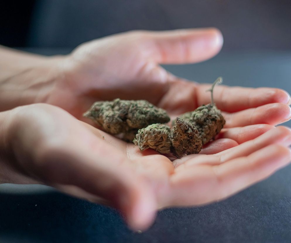 marihuana