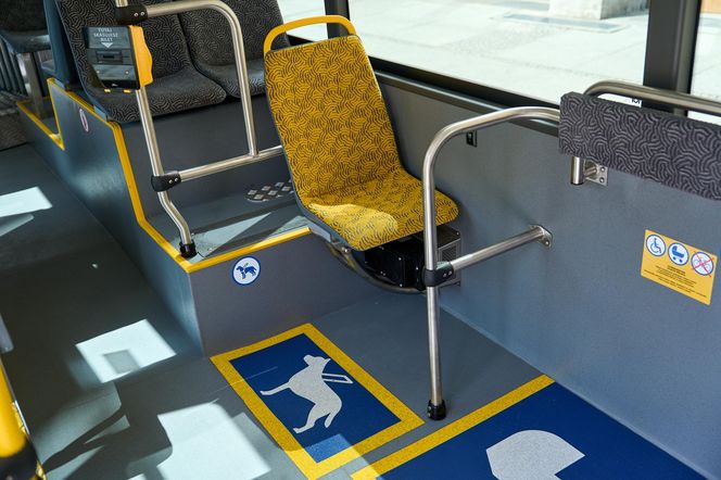 Nowe autobusy na ulicach Wrocławia. Zobacz galerię zdjęć z prezentacji!