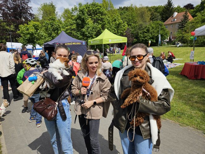 Festiwal Przyjaciół Zwierząt w Olsztynie. Park Centralny opanowały radosne pieski