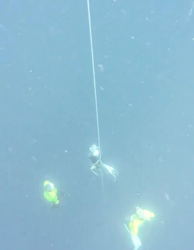 Polka Agata Załęcka osiągnęła sukces bijąc rekord swiata we freedivingu.