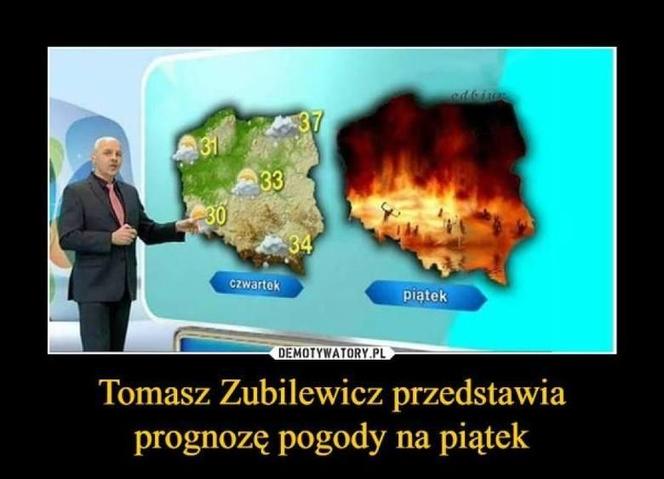 Do Polski dotarła fala gorąca. Te memy na temat upalnych dni rozbawią wszystkich do łez!