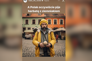 Make Life Harder pokazuje dzieło internauty i AI. Stereotypowy Polak jest z Poznania oraz je sporo ziemniaków?