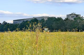 Sianokosy na Błoniach