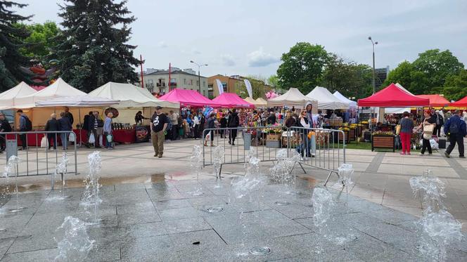 Stoiska wystawców podczas Jarmarku św. Stanisława można zwiedzać w godz. 10.00-18.00 w dn. 10 i 11 maja