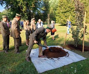 Trzy młode buki purpurowe na Skwerze Leśników Polskich wspólnie zasadzili pracownicy Nadleśnictwa Siedlce i Lasów Państwowych, władze miasta Siedlce i radni.