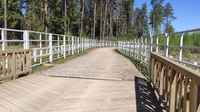 Zagroda Pokazowa Żubrów w Kopnej Górze. Unikalne miejsce na mapie Podlasia