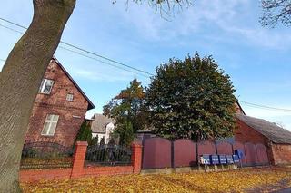 W tych wielkopolskich miejscowościach liczba mieszkańców wzrasta! Trend się nie zmieni