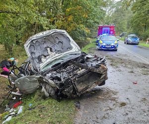 Dopadli Słowaka na Dolnym Śląsku. Próba kontroli zamieniła się w czarny kryminał