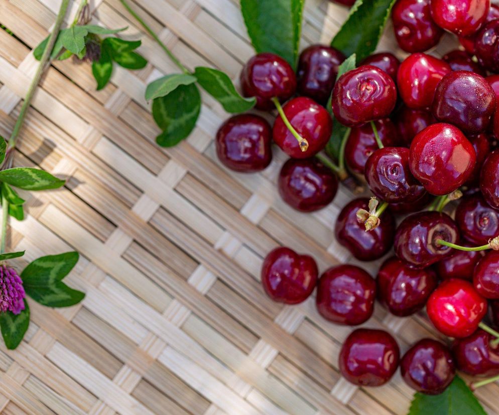 Jak drylować czereśnie i wiśnie bez drylownicy?