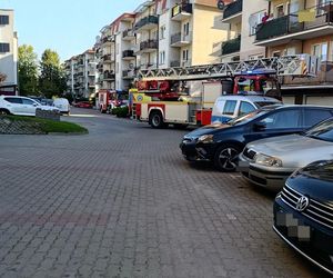 Niewiarygodne! 22-latek skoczył z drugiego piętra i uciekł do mieszkania. Co się stało w Siedlcach?