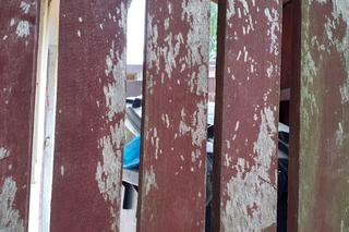 Zamordowała troje dzieci. Sprawę umorzono