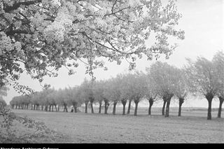 „Pamiętasz była jesień”. Złota pora roku na archiwalnych zdjęciach. Tak wyglądała Polska w pierwszej połowie XX wieku!