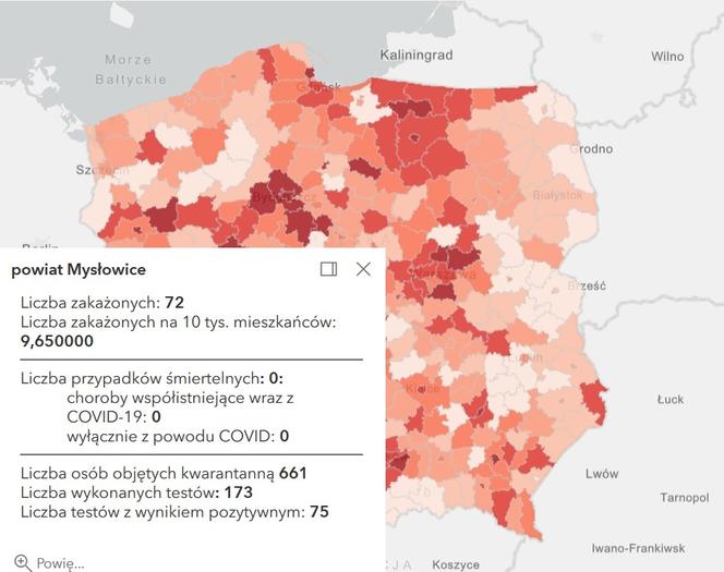 Koronawirus w województwie śląskim. Tak wygląda sytuacja w poszczególnych powiatach [RAPORT, 19 MARCA]