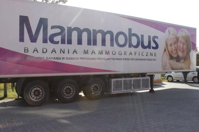 Mammobus zaparkuje w Żarach!