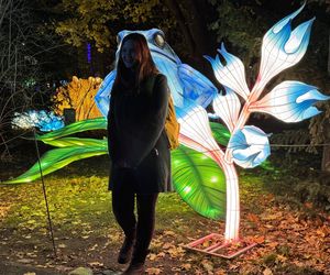 Garden of Lights we Wrocławiu