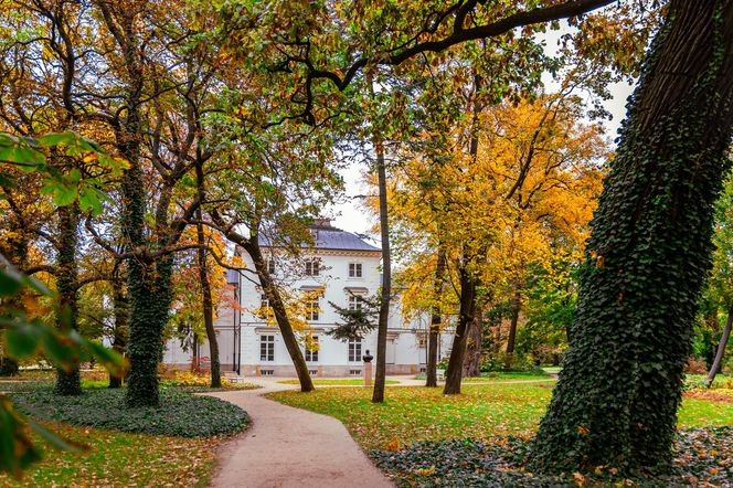 Łazienki Królewskie w Warszawie jesienią