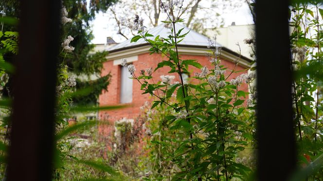 To tutaj była kiedyś szubienica. W centrum Lublina stoi Domek Kata. Zdjęcia