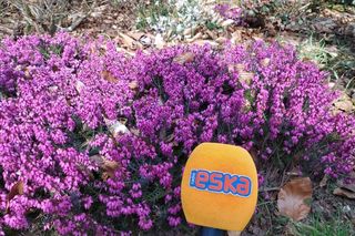 Wiosna w Arboretum Kórnickim