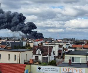 Ogromny pożar na Osowej Górze w Bydgoszczy! Na miejscu kilkanaście zastępów straży pożarnej [ZDJĘCIA]