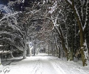 Zdjęcia Śląska Macieja Goryla 