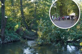 Tydzień temu zagrożenie powodziowe, teraz tłumy spokojnie spacerujących spacerowiczów w Pszczynie ZDJĘCIA