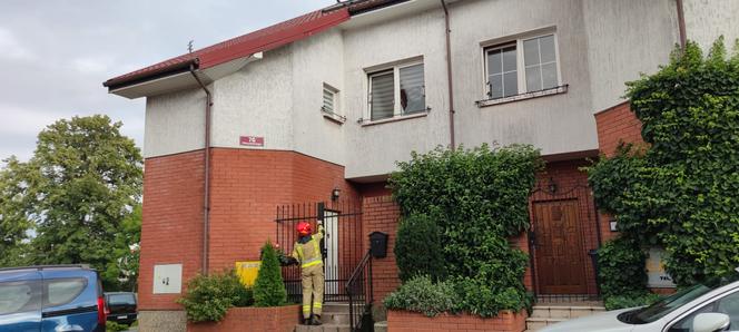 Uchylone okno przyczyną tragedii. Kot umierał w męczarniach