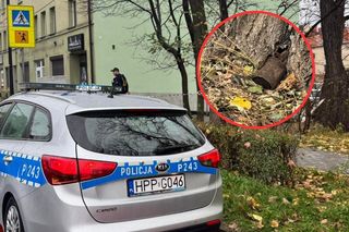 Niedaleko szkoły w Gliwicach znaleziono niewybuch. Miasto stanęło