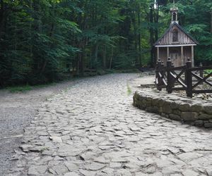 Wypięknieje szlak turystyczny ze Świętej Katarzyny na Łysicę. Sprawdź, co się zmieni