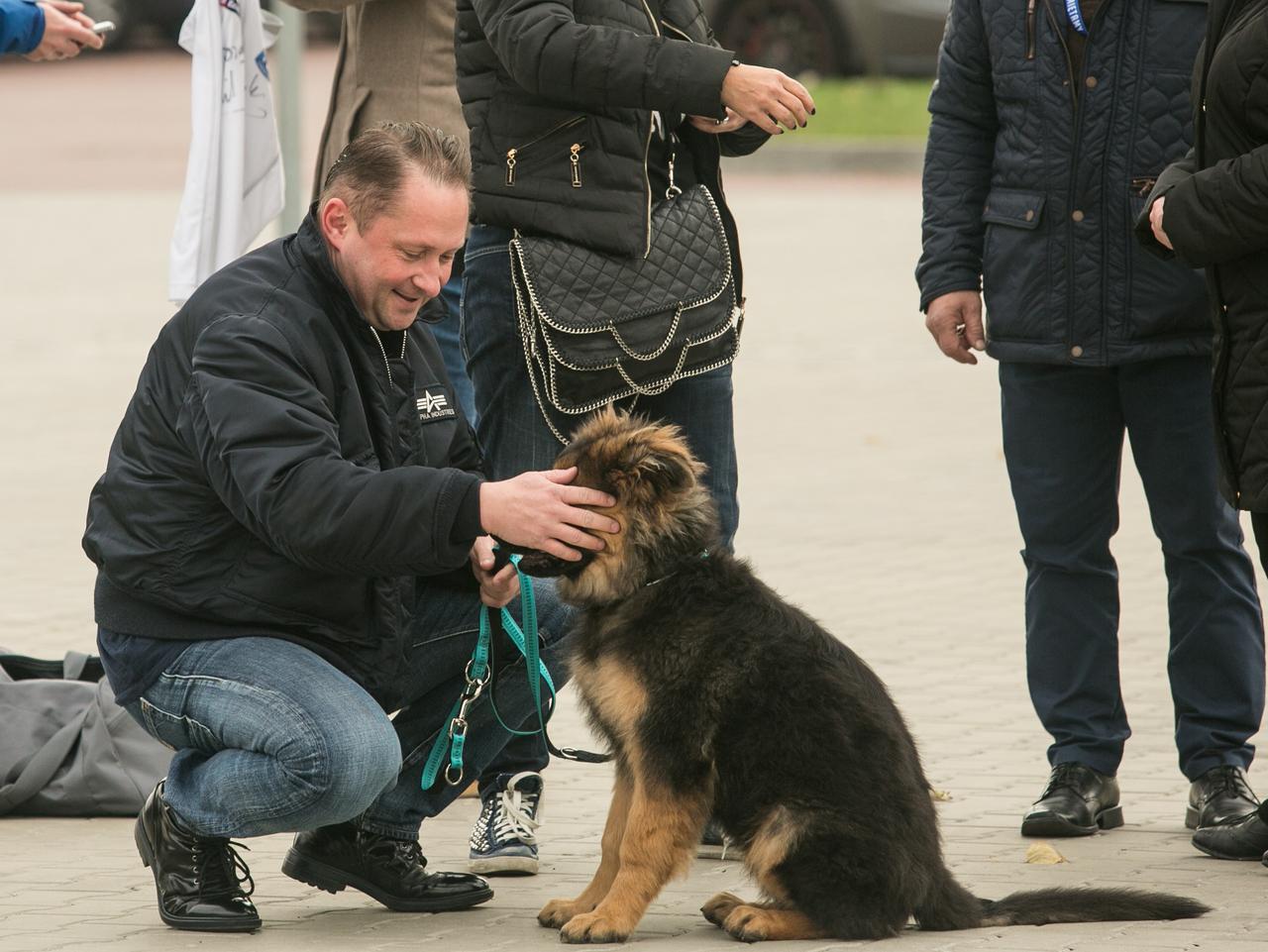 Pies uratował Durczoka. Teraz Durczok ratuje psa
