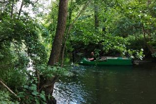 Koszenie dna rzeki Łyny. Utrudnienia dla kajakarzy i wędkarzy.