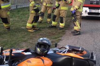 Kolizja motocyklisty z psem