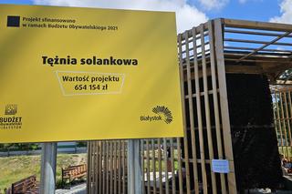 Tężnia solankowa na Pieczurkach w Białymstoku znowu zepsuta. Tym razem do odwołania.