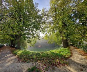 Zamojski Park jesienią