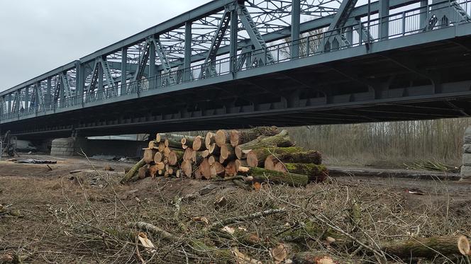 Skandal! Po co ta dewastacja? Wycięto mnóstwo starych drzew nad Wisłą