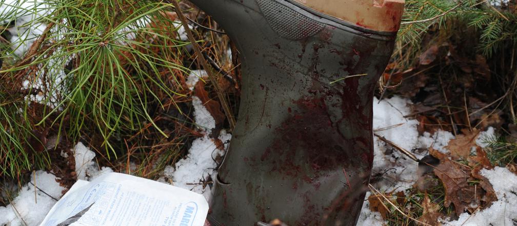 Leśnicy zostali zaatakowani przez rannego dzika