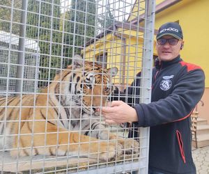 Mieszka z lwami odrzuconymi przez matkę i tygrysem. Usłyszał prokuratorskie zarzuty