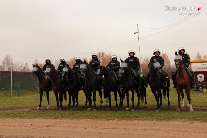 Konie służbowe śląskiej policji przeszły szkolenie. Musiały wytrzymać odgłosy wystrzałów czy ujadanie psów