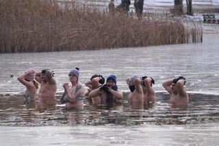 Bydgoskie morsy nie zwalniają tempa! Za nami kolejna lodowata kąpiel w Pieckach [ZDJĘCIA]