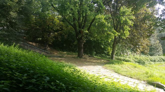 Park Zamkowy i Promenada w Mysłowicach