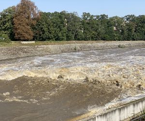 Jaz Szczytnicki we Wrocławiu coraz bardziej wypełniony. Do Wrocławia zbliża się fala ZDJĘCIA