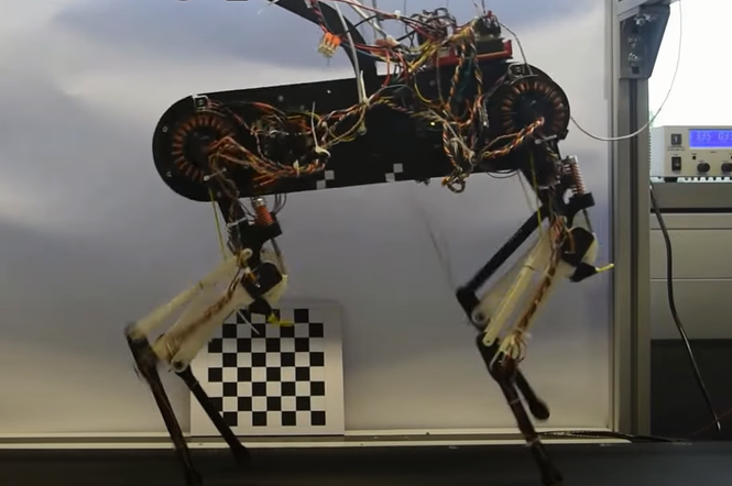 Pies-robot nauczył się chodzić w ciągu godziny! Testują na nim cyber-kręgosłup