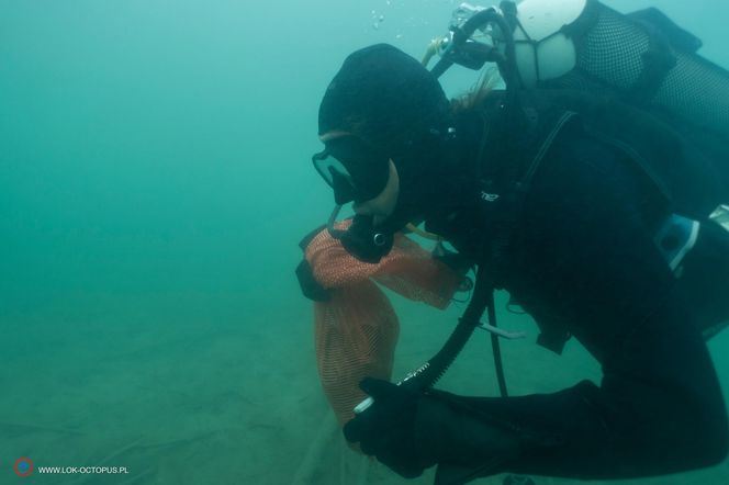 jezioro Tarnobrzeskie Niezwykła akcja płetwonurków