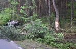 Samochód zderzył się z łosiem. Dwie osoby zginęły na miejscu 