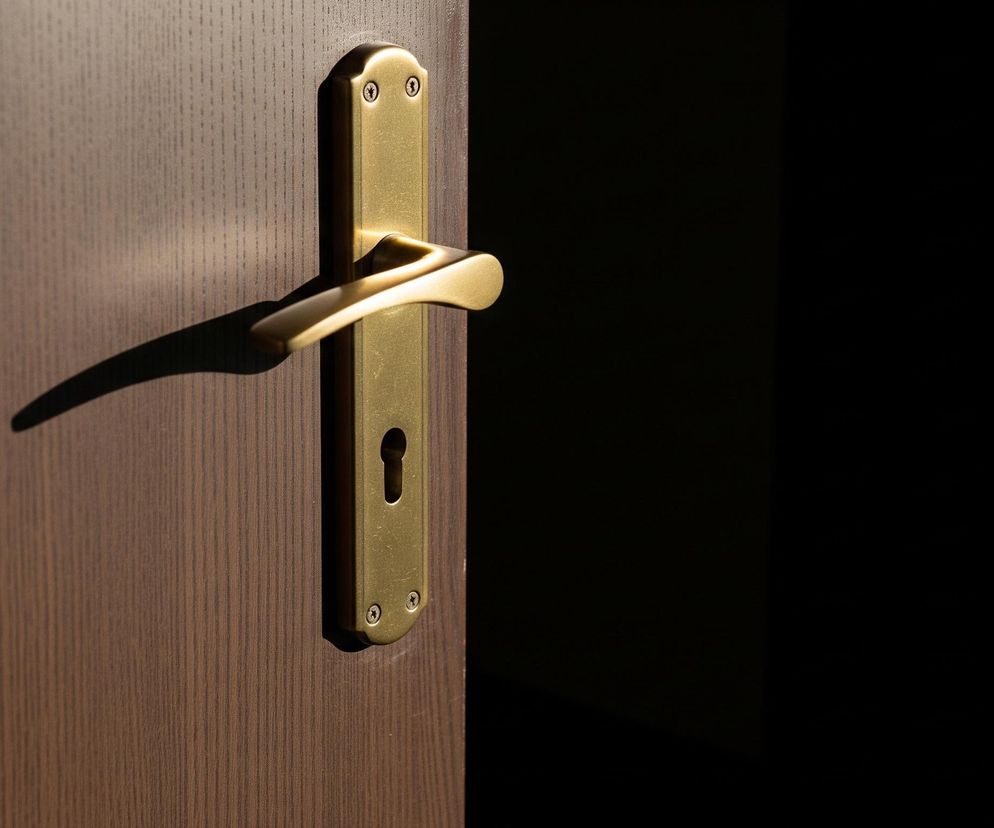 Centralnym elementem obrazu są drzwi w kolorze ciemnego drewna, otwarte na tyle, by ukazać ciemne wnętrze pokoju po prawej stronie. Na drzwiach, nieco na prawo od środka, zamontowana jest poziomo złota klamka z długim, prostokątnym szyldem, pod którym widoczny jest otwór na klucz. Światło padające z lewej strony oświetla klamkę i część drzwi, tworząc długi, wyraźny cień rzucany przez klamkę na powierzchnię drzwi, biegnący ukośnie w dół w lewo.